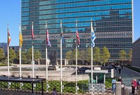 UN-Flags